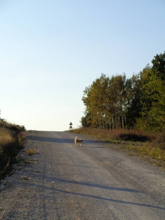 DSC00791_original